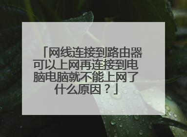 网线连接到路由器可以上网再连接到电脑电脑就不能上网了什么原因?