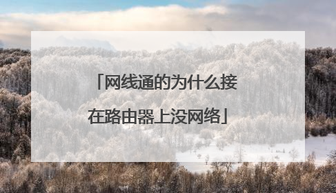 网线通的为什么接在路由器上没网络