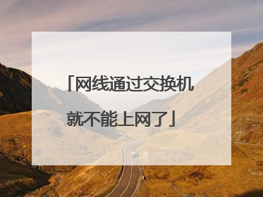 网线通过交换机就不能上网了