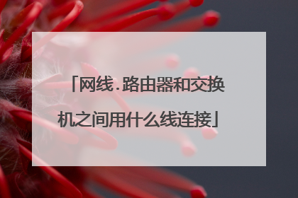 网线.路由器和交换机之间用什么线连接