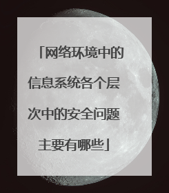 网络环境中的信息系统各个层次中的安全问题主要有哪些