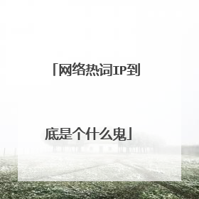 网络热词IP到底是个什么鬼