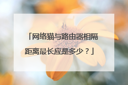 网络猫与路由器相隔距离最长应是多少?