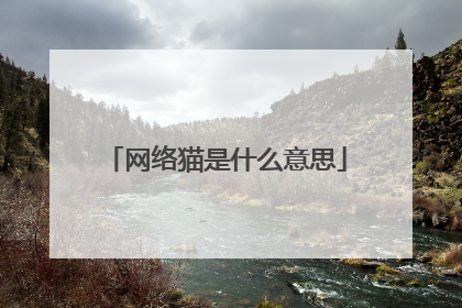 网络猫是什么意思