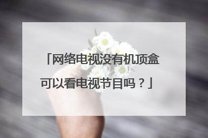 网络电视没有机顶盒可以看电视节目吗?