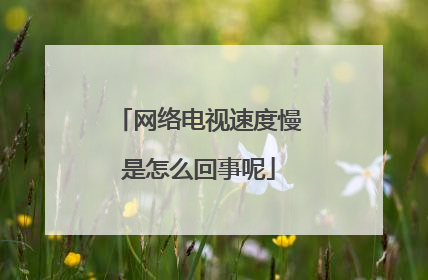 网络电视速度慢是怎么回事呢