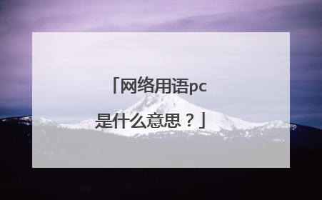 网络用语pc是什么意思？