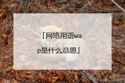 网络用语wap是什么意思