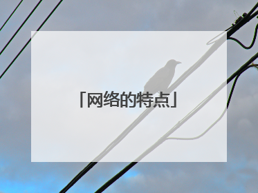 网络的特点
