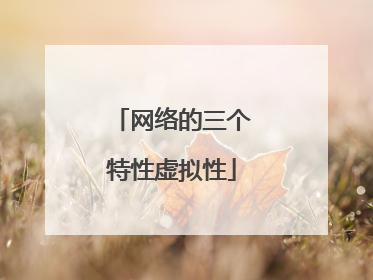 网络的三个特性虚拟性