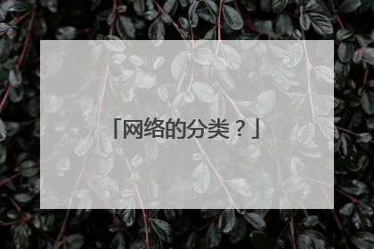 网络的分类？