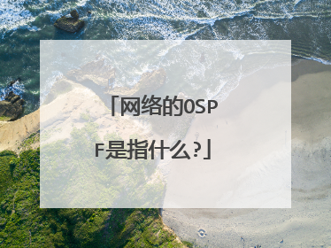 网络的OSPF是指什么?