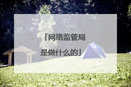 网络监管局是做什么的