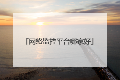 网络监控平台哪家好