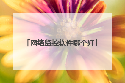 网络监控软件哪个好