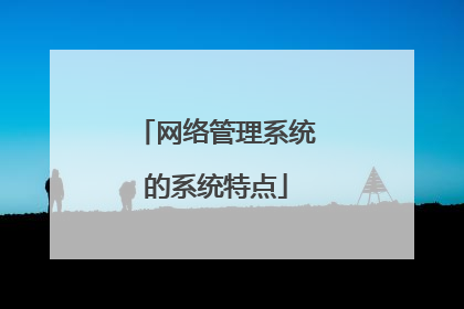 网络管理系统的系统特点