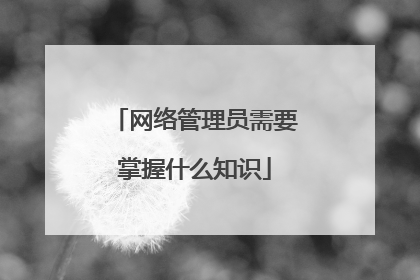 网络管理员需要掌握什么知识