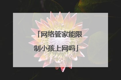 网络管家能限制小孩上网吗