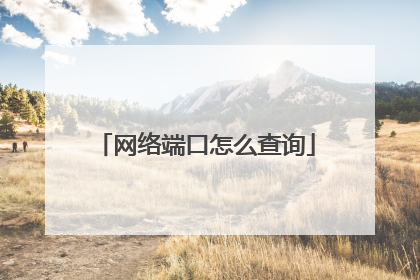 网络端口怎么查询