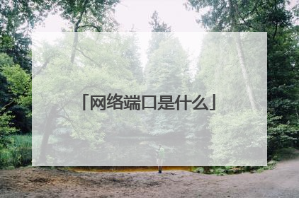 网络端口是什么