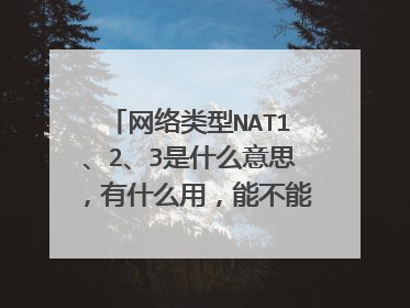 网络类型NAT1、2、3是什么意思,有什么用,能不能通俗解释一下