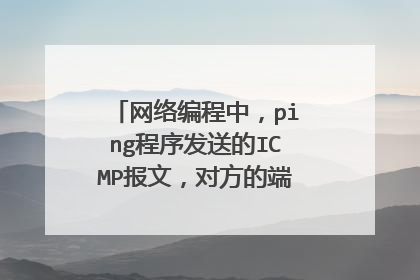 网络编程中，ping程序发送的ICMP报文，对方的端口号要怎么写啊？