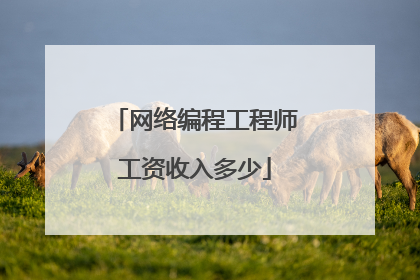 网络编程工程师工资收入多少