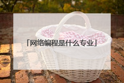网络编程是什么专业