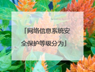 网络信息系统安全保护等级分为