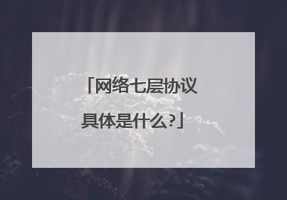 网络七层协议具体是什么?