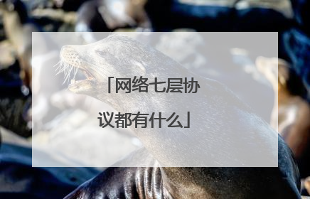 网络七层协议都有什么