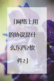 网络上用的协议是什么东西?软件?