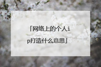 网络上的个人ip打造什么意思