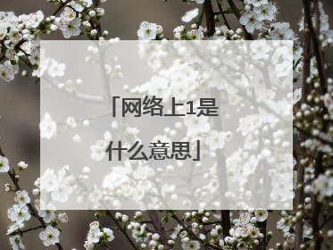 网络上1是什么意思