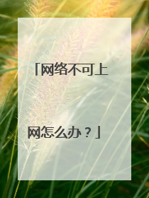 网络不可上网怎么办？