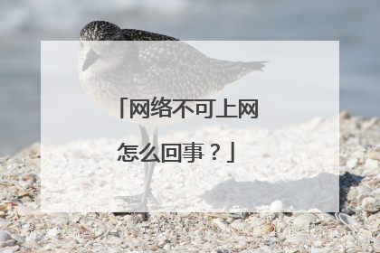 网络不可上网怎么回事？
