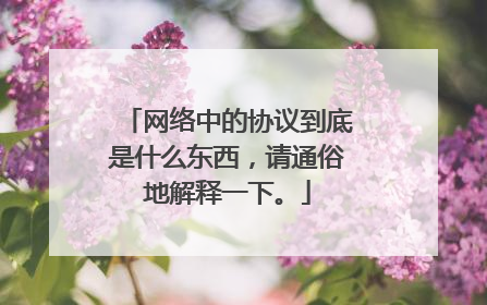 网络中的协议到底是什么东西，请通俗地解释一下。