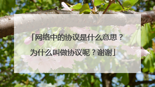 网络中的协议是什么意思？为什么叫做协议呢？谢谢