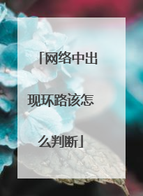 网络中出现环路该怎么判断