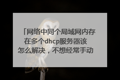 网络中同个局域网内存在多个dhcp服务器该怎么解决，不想经常手动输入ip和DNS,这个问题怎么解决。