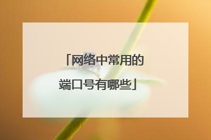网络中常用的端口号有哪些