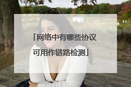 网络中有哪些协议可用作链路检测