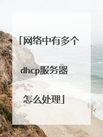 网络中有多个dhcp服务器怎么处理