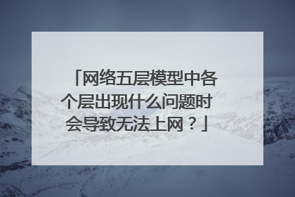 网络五层模型中各个层出现什么问题时会导致无法上网?