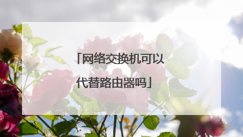 网络交换机可以代替路由器吗