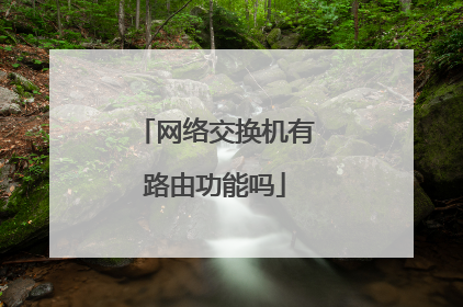 网络交换机有路由功能吗
