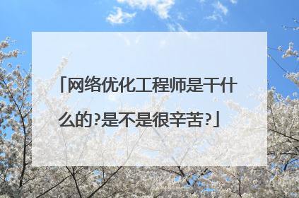 网络优化工程师是干什么的?是不是很辛苦?