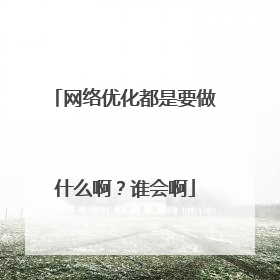 网络优化都是要做什么啊?谁会啊