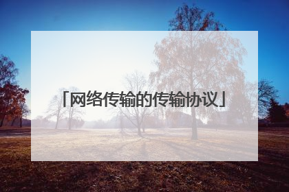 网络传输的传输协议