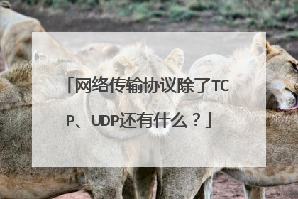 网络传输协议除了TCP、UDP还有什么?